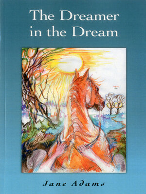 cover image of The Dreamer in the Dream
